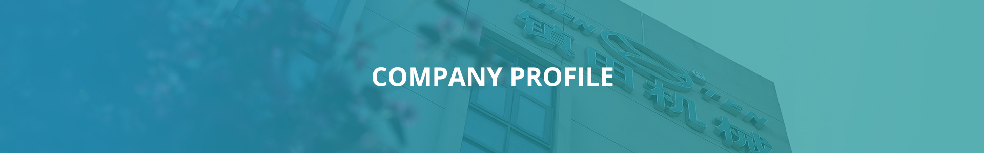 COMPANY PROFILE